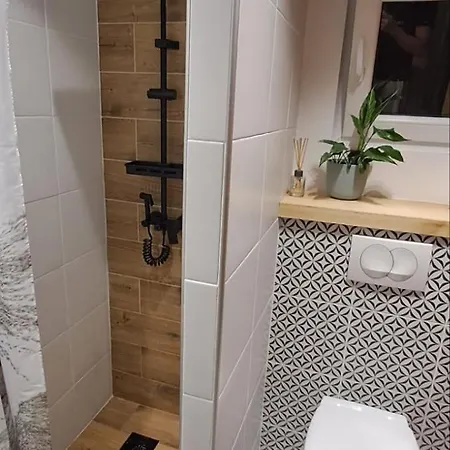 Brvnara Morava Holiday home Ovcar Banja